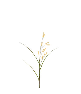 4A Getrockneter Hasenschwanz Kunstpflanze | Farbe: Beige | Länge ± 114 Zentimeter | Pro 4 Kunstpflanzen