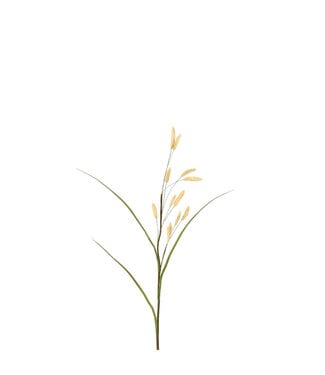 4A Queue de lapin séchée Plante artificielle | Couleur : Beige | Longueur ± 114 centimètres | Par 4 plantes artificielles