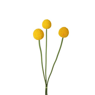 4A Craspedia Globosa Fleur Artificielle | Couleur : Jaune | Fleurs artificielles en forme de bâton de tambour | Longueur ± 55 centimètres | Par 6 fleurs artificielles