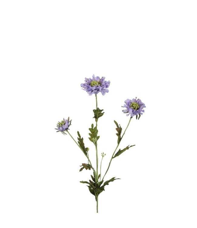 Scabiosa Artificial Flower | Colour: Purple | Pigeon Flower Artificial Flowers | Length ± 66 centimetres | Per 6 artificial flowers