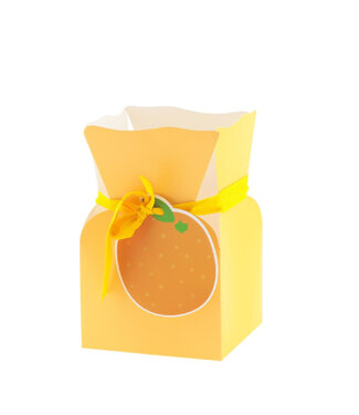 4A Boekethouder Boeketvaas “Fruity” | Kleur: Oranje | Diameter 13 centimeter | Hoogte 20 centimeter | Per 10 boekethouders