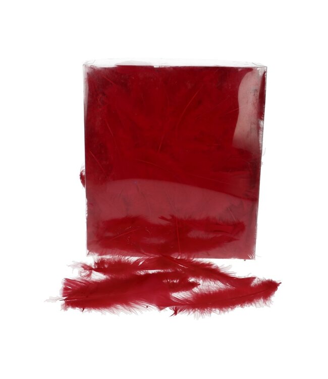 Plumes de dinde | Couleur : Rouge | Poids 45 grammes | Par sachet de plumes