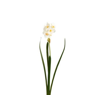 4A Fleur Artificielle Narcisse | Couleur : Blanc Naturel | Longueur ± 41 centimètres | Par 6 fleurs artificielles