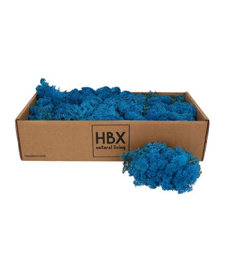 4A Preserved Reindeer Moss | Colour: Light Blue | Dried Decoration | Weight 400 - 500 grams | Per box