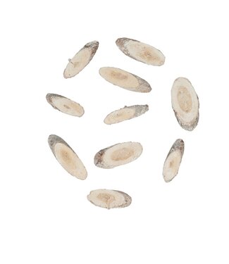 4A Tranches de bois de pin séchées | Couleur : Blanc Naturel | Décoration sèche | Poids 250 grammes | À l'unité