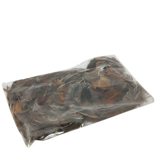 4A Fazant Veren | Kleur: Bruin | Gewicht 19 gram | Per zakje veren