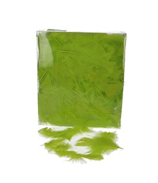 4A Plumes de dinde | Couleur : Vert pomme | Poids 45 grammes | Par sachet de plumes