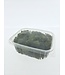 Green preserved Reindeer Moss from Iceland | Packed per 150 grams