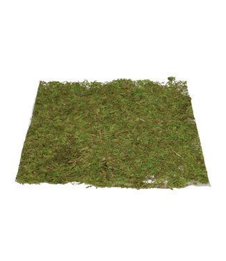 4A Dried Square Moss Mat | Colour: Green | Dried Decoration | Diameter 28 centimetres | Per piece