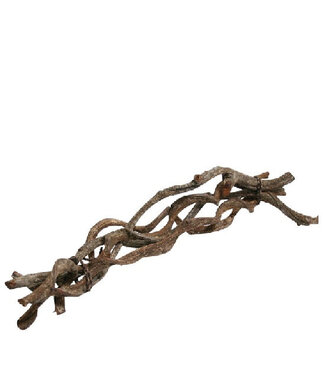 4A Bouquet de Curly Séché | Curly Bundel | Couleur : Marron | Décoration Sèche | Longueur 60 centimètres | Par 5 pièces