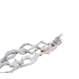 4A Bouquet de Curly Séché | Curly Bundel | Couleur : Blanc Naturel | Décoration Séchée | Longueur 60 centimètres | Par 5 pièces