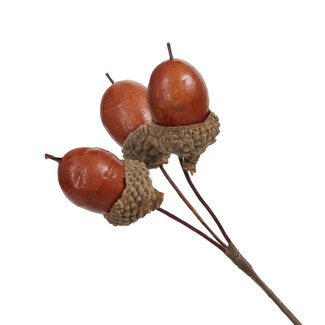 4A Brown Acorn Picks | Diameter 2.5 centimetres | Per 36 pieces