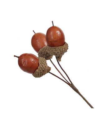 4A Brown Acorn Picks | Diameter 2.5 centimetres | Per 36 pieces