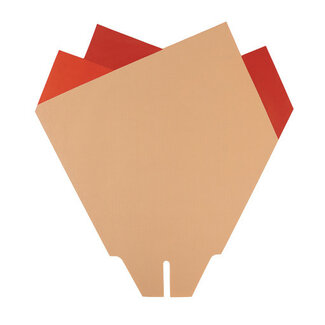 4A Housses Magnolia | Couleur : Rouge | Longueur 44 centimètres | Largeur 44 centimètres | Par 50 housses