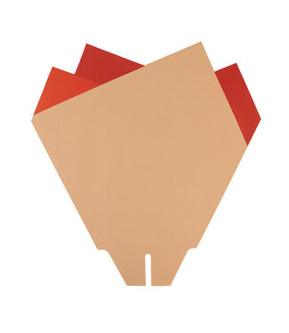 4A Magnolienhüllen | Farbe: Rot | Länge 44 Zentimeter | Breite 44 Zentimeter | Pro 50 Hüllen