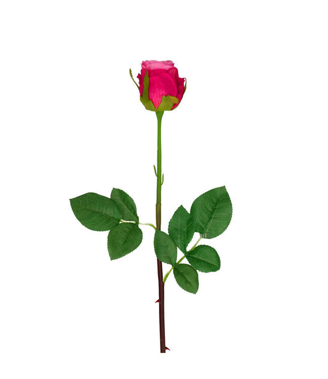 Rose Fleur Artificielle | Couleur : Fuchsia | Roses fleurs artificielles | Longueur ± 46 centimètres | Par 24 roses artificielles