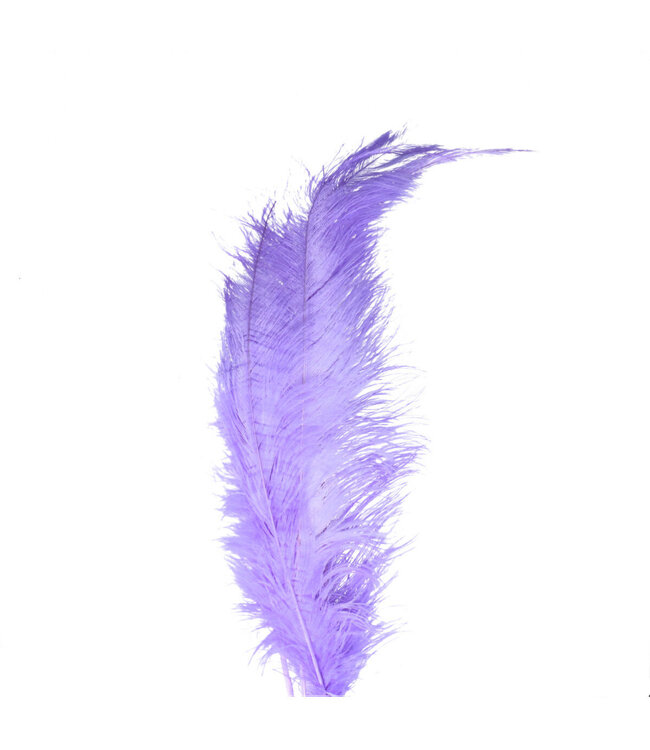Plumes d'autruche | Couleur : Lilas | Longueur 55 centimètres | Par 5 plumes