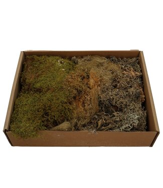 4A Décoration sèche Mélange de Mousse | Couleur : Couleurs Mixtes | Poids 650 grammes | Par pièce