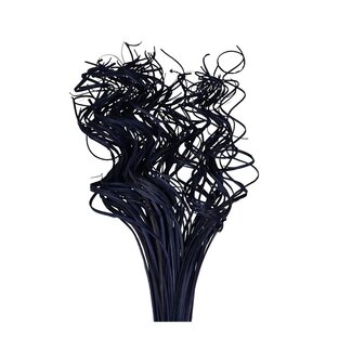 4A Nerf de Feuille de Palmier Séchée | Curly Ting Ting | Couleur : Violet | Décoration Sèche | Longueur ± 70 centimètres | Poids 200 grammes | Par bouquet