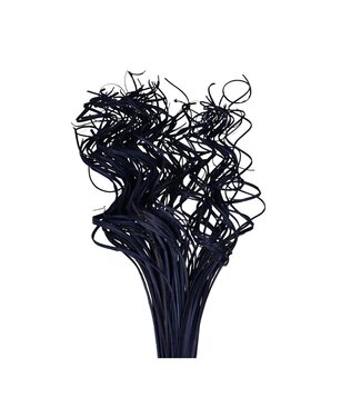 4A Getrocknetes Palmblatt Nerv | Curly Ting Ting | Farbe: Lila | Trockendekoration | Länge ± 70 Zentimeter | Gewicht 200 Gramm | Pro Bund