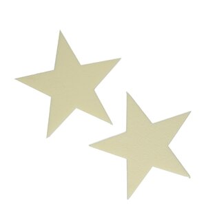 4A Ivory Oasis Colour star | Diameter 25 centimetres | Per 2 pieces