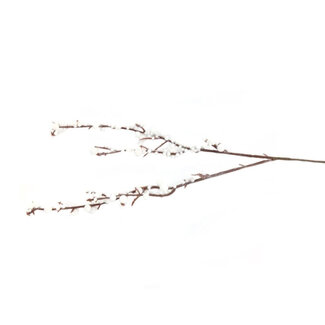 4A Berry Branch Bracea Artificial Flower | Colour: Natural White | Length ± 30 centimetres | Per 5 branches