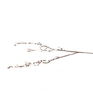 4A Berry Branch Bracea Artificial Flower | Colour: Natural White | Length ± 30 centimetres | Per 5 branches