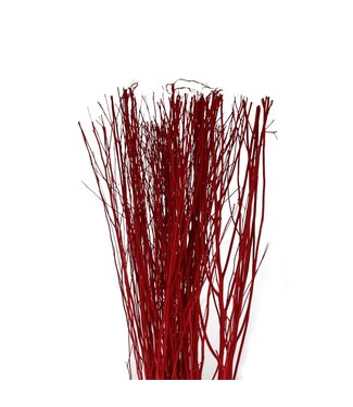 4A Getrocknete Yanagi Zweige | Farbe: Rot | Trockenblumen | Gewicht 250 Gramm | Pro Bund