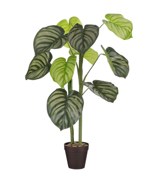 Caladium Plante Artificielle avec pot | Couleur : Vert clair | Longueur ± 100 centimètres | Diamètre ± 15 centimètres | Par 6 plantes artificielles