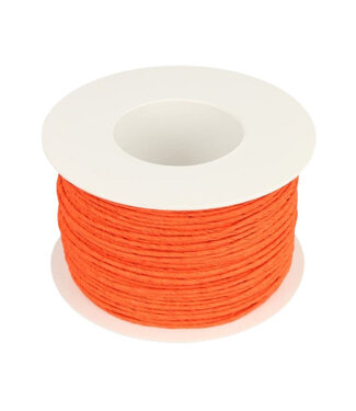 4A Oranje Papier Draad Touw | Diameter 2 millimeter | Lengte 100 meter | Per stuk