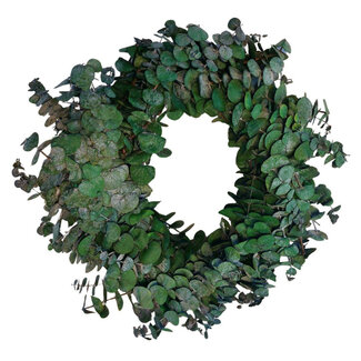 4A Preserved Eucalyptus Baby Wreath | Colour: Green | Diameter 35 centimetres | Per wreath