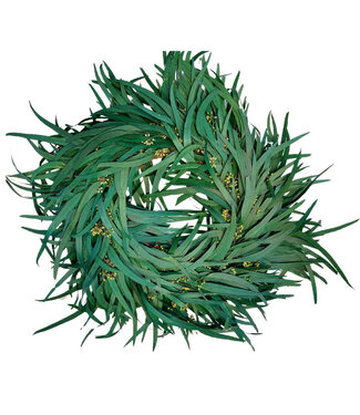 4A Couronne de Baies d'Eucalyptus Préservées | Couleur : Vert | Diamètre 35 centimètres | Par couronne