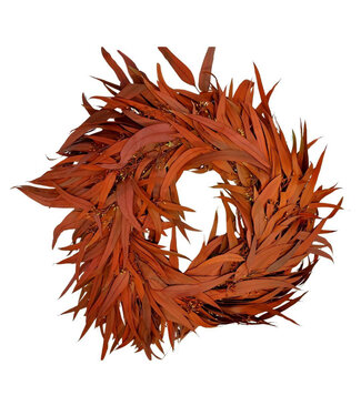 4A Couronne de Baies d'Eucalyptus Préservées | Couleur : Rouge | Diamètre 35 centimètres | Par couronne