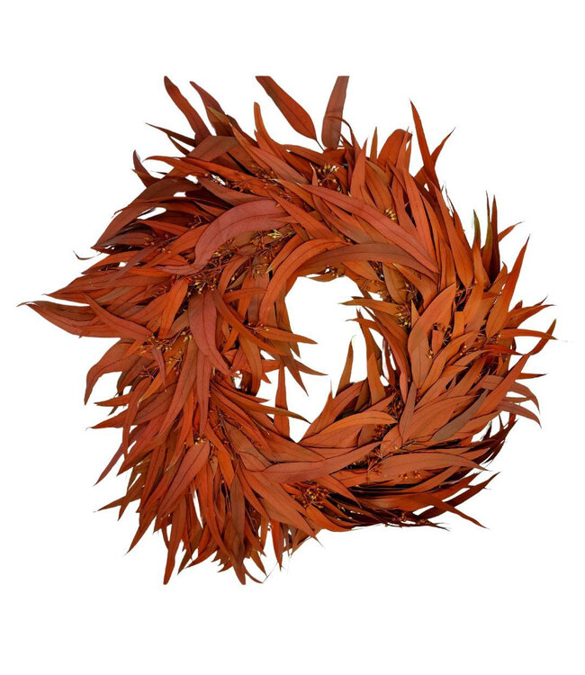Couronne de Baies d'Eucalyptus Préservées | Couleur : Rouge | Diamètre 35 centimètres | Par couronne