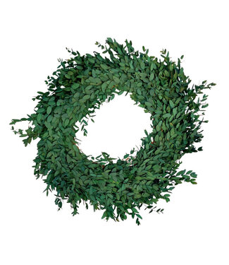 4A Konservierter Eukalyptus Parvifolia Kranz | Farbe: Grün | Durchmesser 35 Zentimeter | Pro Kranz