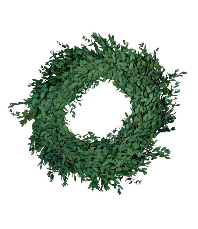 Couronne d'Eucalyptus Parvifolia Préservé | Couleur : Vert | Diamètre 35 centimètres | Par couronne