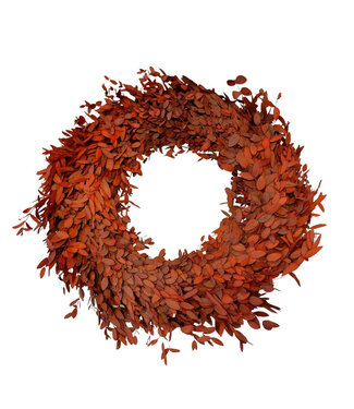 4A Preserved Eucalyptus Parvifolia Wreath | Colour: Red | Diameter 35 centimetres | Per wreath