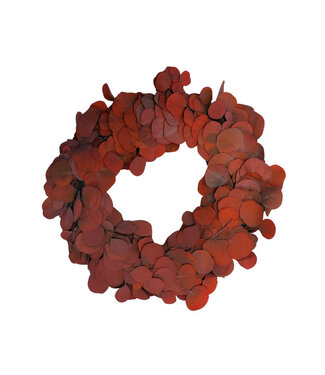 4A Preserved Eucalyptus Populifolia Wreath | Colour: Red | Diameter 35 centimetres | Per wreath