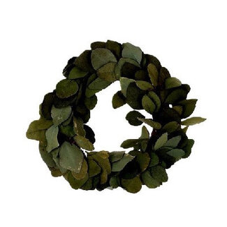 4A Couronne de Populifolia d'Eucalyptus Préservée | Couleur : Vert | Diamètre 35 centimètres | Par couronne