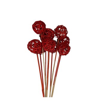 4A Bijsteker de Brunch | Couleur : Rouge | Longueur du bijsteker ± 50 centimètres | Par 10 bijstekers