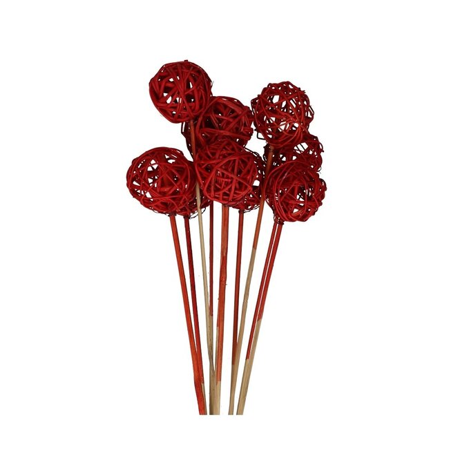 Bouquet Brunch Bijsteker | Couleur : Rouge | Longueur du bijsteker ± 50 centimètres | Par 10 bijstekers