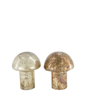 4A Glas Pilz Dekoration | Farbe: Weiß Braun | Durchmesser 13 Zentimeter | Höhe 15 Zentimeter | Pro 8 Pilze