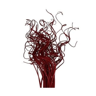 4A Gedroogd Palmblad Nerf | Curly Ting Ting | Kleur: Rood | Droogdecoratie | Lengte ± 70 centimeter | Gewicht 200 gram | Per bos