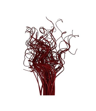 4A Feuille de Palmier Séchée Nerf | Curly Ting Ting | Couleur : Rouge | Décoration Sèche | Longueur ± 70 centimètres | Poids 200 grammes | Par bouquet