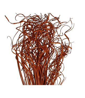 4A Dried Palm Leaf Vein | Curly Ting Ting | Colour: Orange | Dried Decoration | Length ± 70 centimetres | Weight 200 grams | Per bunch