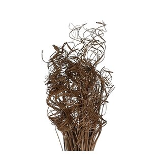 4A Dried Palm Leaf Vein | Curly Ting Ting | Colour: Brown | Dried Decoration | Length ± 70 centimetres | Weight 200 grams | Per bunch