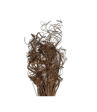 4A Dried Palm Leaf Vein | Curly Ting Ting | Colour: Brown | Dried Decoration | Length ± 70 centimetres | Weight 200 grams | Per bunch