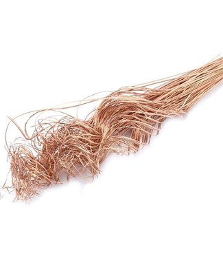 4A Dried Palm Leaf Vein | Curly Ting Ting | Colour: Copper | Dried Decoration | Length ± 70 centimetres | Weight 200 grams | Per bunch