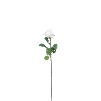 4A Rose Artificial Flower | Colour: Cream | Artificial Roses | Length ± 69 centimetres | Per 12 artificial roses