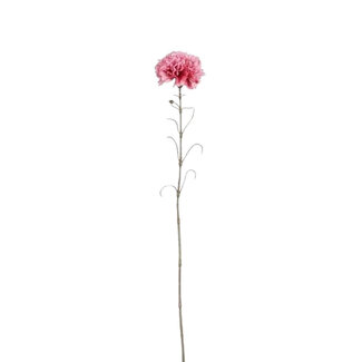 4A Œillet Artificiel | Couleur : Rose foncé | Fleurs artificielles Dianthus | Longueur ± 66 centimètres | Par 12 fleurs artificielles